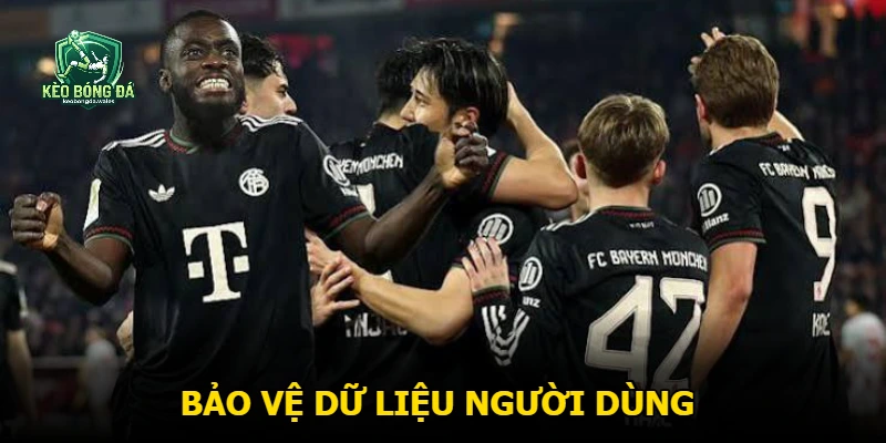 Bảo vệ dữ liệu người dùng