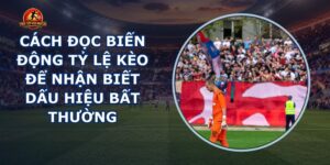 Biến Động Tỷ Lệ Kèo