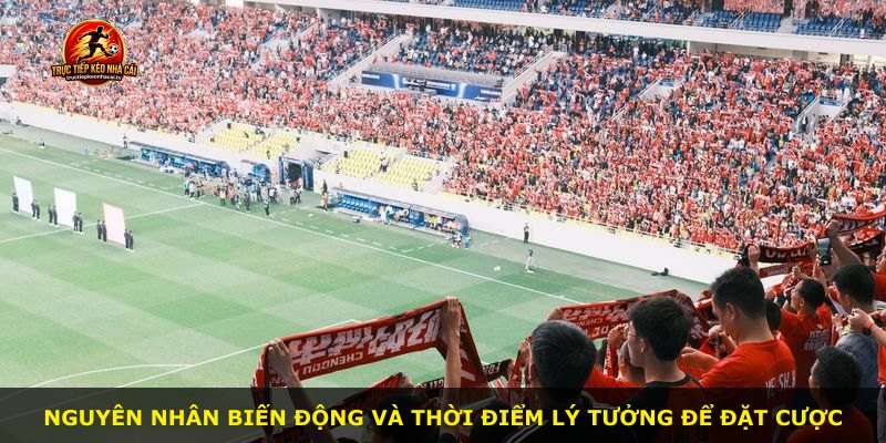 Nguyên nhân biến động và thời điểm lý tưởng để đặt cược