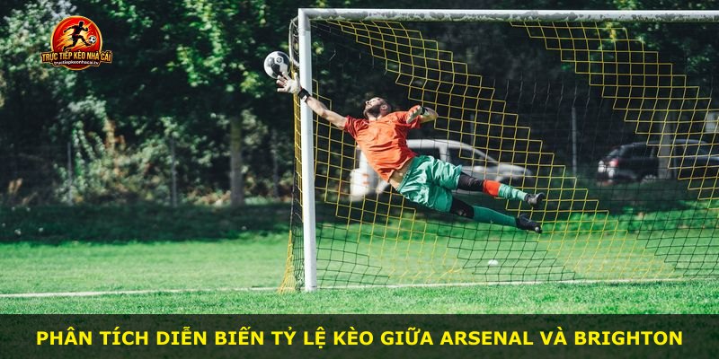 Phân tích diễn biến tỷ lệ kèo giữa Arsenal và Brighton