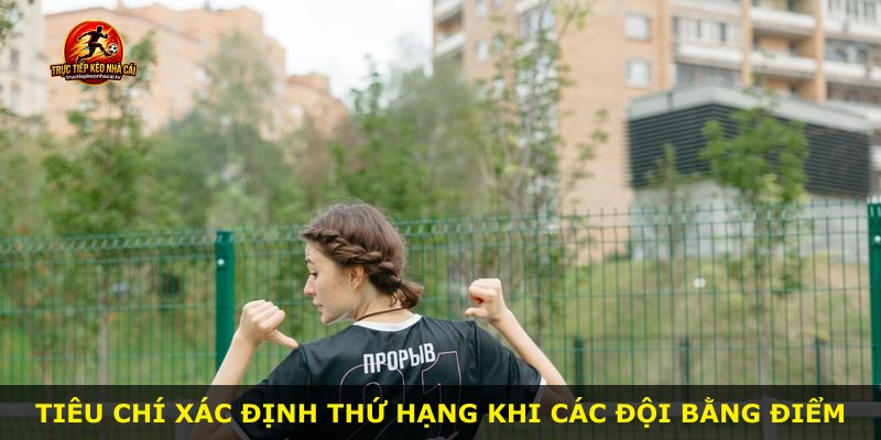 Tiêu chí xác định thứ hạng khi các đội bằng điểm
