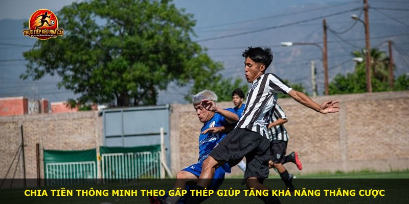 Chia tiền thông minh theo Gấp Thép giúp tăng khả năng thắng cược