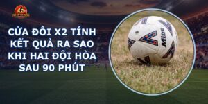 Cửa Đôi X2