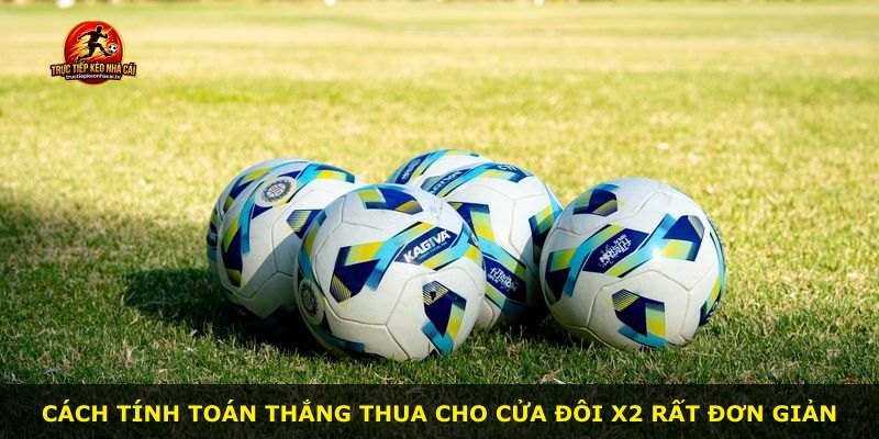 Cách tính toán thắng thua cho cửa Đôi X2 rất đơn giản