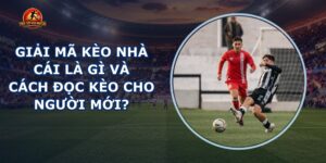 Giải Mã Kèo Nhà Cái