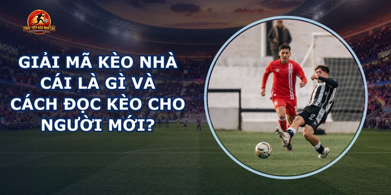 Giải Mã Kèo Nhà Cái