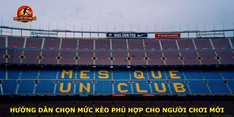 Hướng dẫn chọn mức kèo phù hợp cho người chơi mới