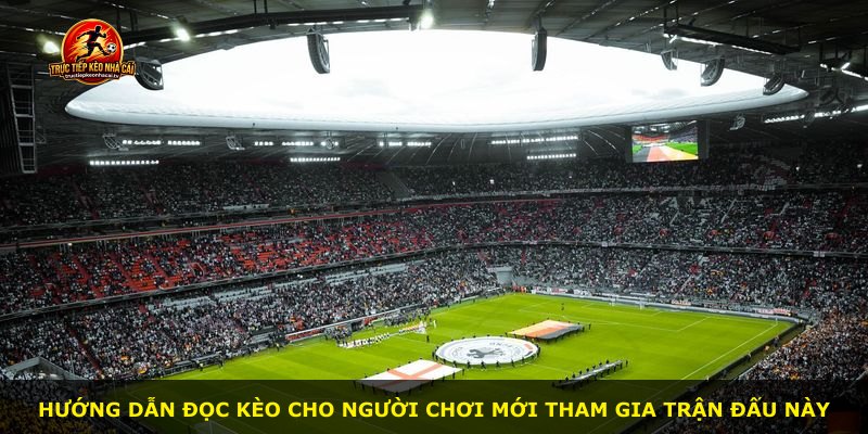 Hướng dẫn đọc kèo cho người chơi mới tham gia trận đấu này