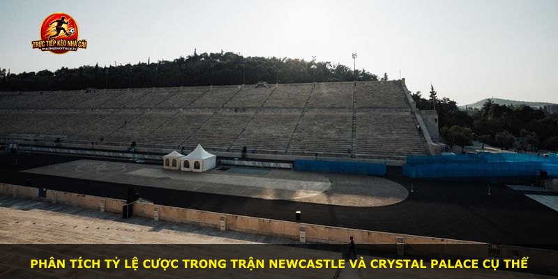 Phân tích tỷ lệ cược trong trận Newcastle và Crystal Palace cụ thể