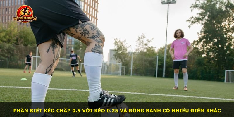 Phân biệt kèo chấp 0.5 với kèo 0.25 và đồng banh có nhiều điểm khác