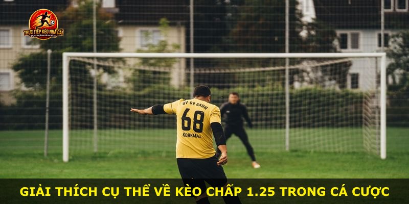 Giải thích cụ thể về kèo chấp 1.25 trong cá cược