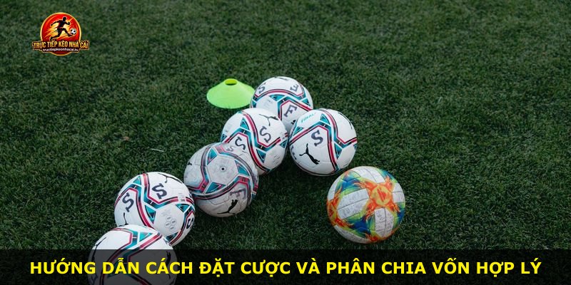 Hướng dẫn cách đặt cược và phân chia vốn hợp lý