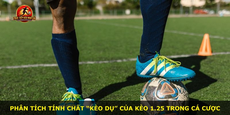 Phân tích tính chất “kèo dụ” của kèo 1.25 trong cá cược