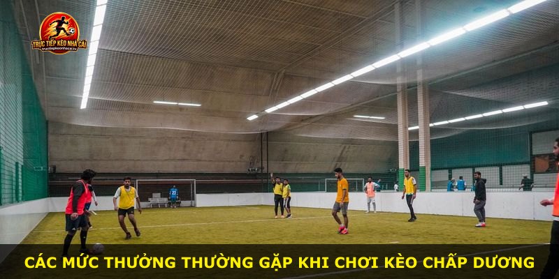 Các mức thưởng thường gặp khi chơi kèo chấp dương
