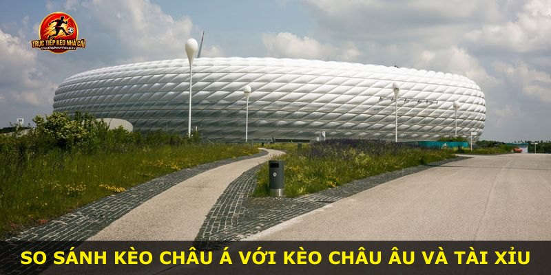 So sánh kèo Châu Á với kèo châu Âu và tài xỉu