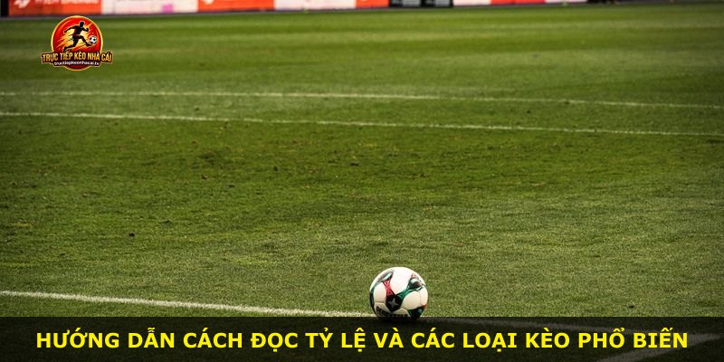 Hướng dẫn cách đọc tỷ lệ và các loại kèo phổ biến