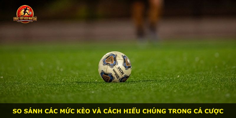 So sánh các mức kèo và cách hiểu chúng trong cá cược