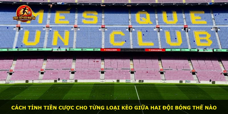 Cách tính tiền cược cho từng loại kèo giữa hai đội bóng thế nào