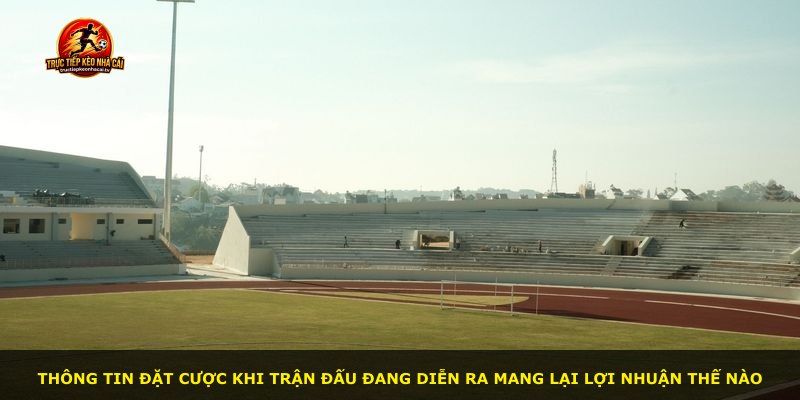 Thông tin đặt cược khi trận đấu đang diễn ra mang lại lợi nhuận thế nào