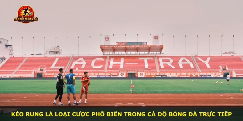 Kèo Rung là loại cược phổ biến trong cá độ bóng đá trực tiếp