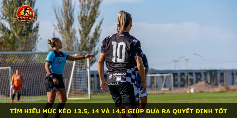 Tìm hiểu mức kèo 13.5, 14 và 14.5 giúp đưa ra quyết định tốt