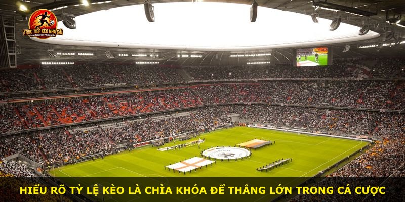 Hiểu rõ tỷ lệ kèo là chìa khóa để thắng lớn trong cá cược
