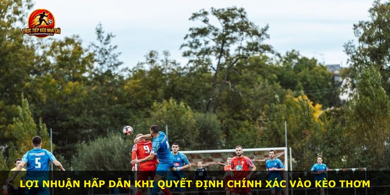 Lợi nhuận hấp dẫn khi quyết định chính xác vào Kèo Thơm