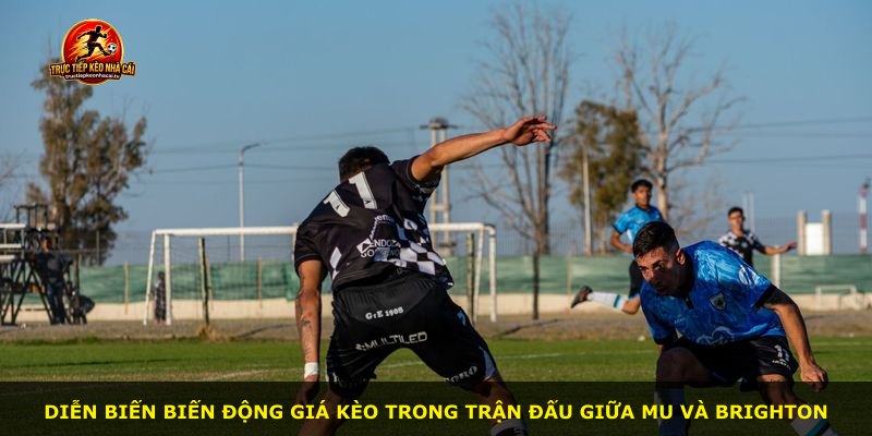 Diễn biến biến động giá kèo trong trận đấu giữa MU và Brighton