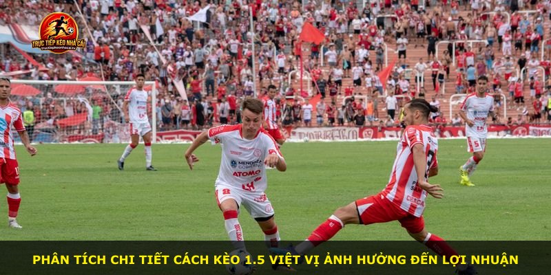 Phân tích chi tiết cách kèo 1.5 việt vị ảnh hưởng đến lợi nhuận