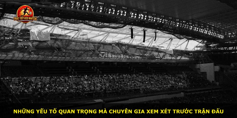 Những yếu tố quan trọng mà chuyên gia xem xét trước trận đấu