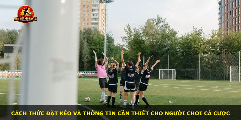 Cách thức đặt kèo và thông tin cần thiết cho người chơi cá cược