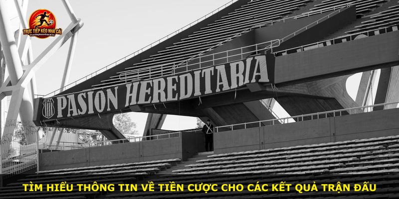 Tìm hiểu thông tin về tiền cược cho các kết quả trận đấu