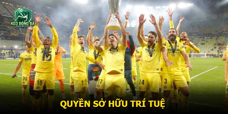 Quyền sở hữu trí tuệ