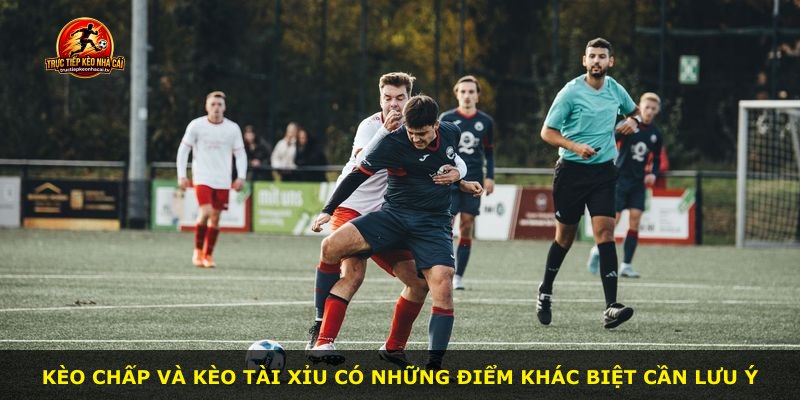 Kèo chấp và kèo tài xỉu có những điểm khác biệt cần lưu ý