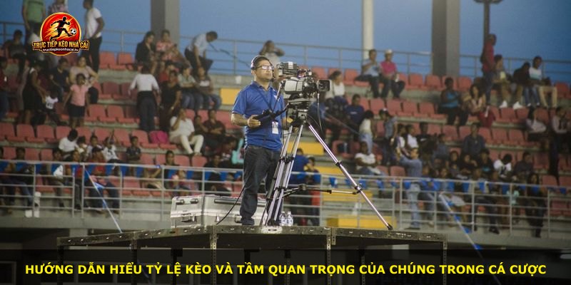 Hướng dẫn hiểu tỷ lệ kèo và tầm quan trọng của chúng trong cá cược
