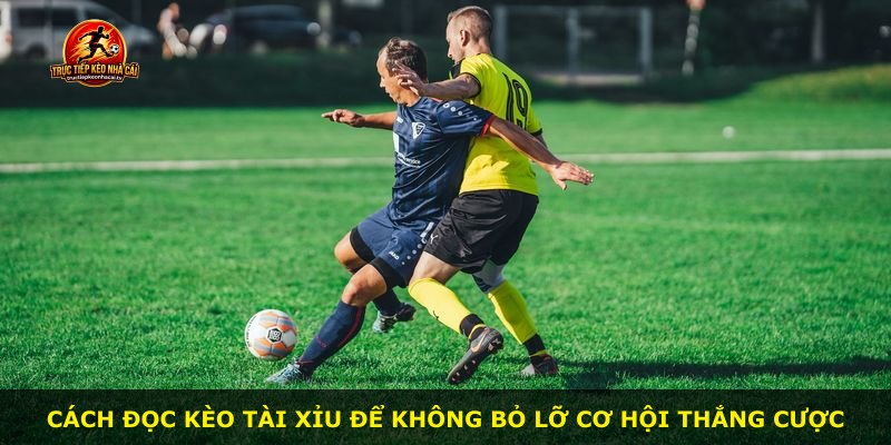 Cách đọc kèo tài xỉu để không bỏ lỡ cơ hội thắng cược