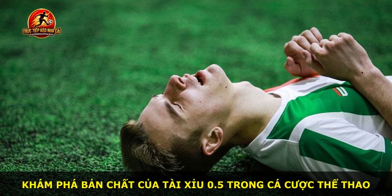 Khám phá bản chất của Tài Xỉu 0.5 trong cá cược thể thao