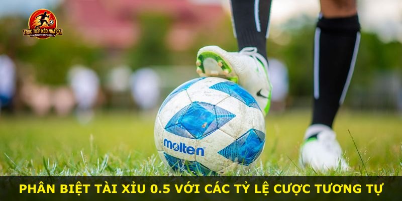 Phân biệt Tài Xỉu 0.5 với các tỷ lệ cược tương tự