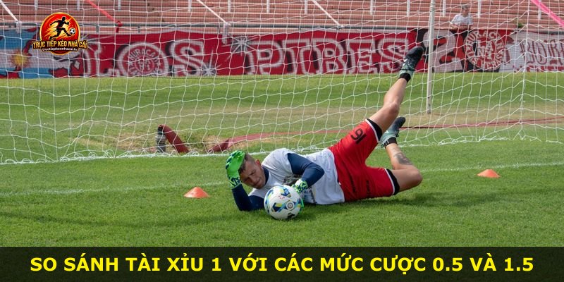 So sánh Tài Xỉu 1 với các mức cược 0.5 và 1.5