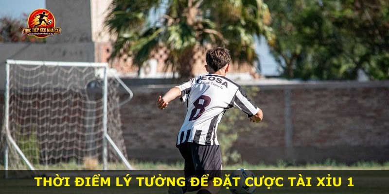 Thời điểm lý tưởng để đặt cược Tài Xỉu 1