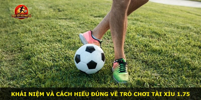 Khái niệm và cách hiểu đúng về trò chơi Tài Xỉu 1.75