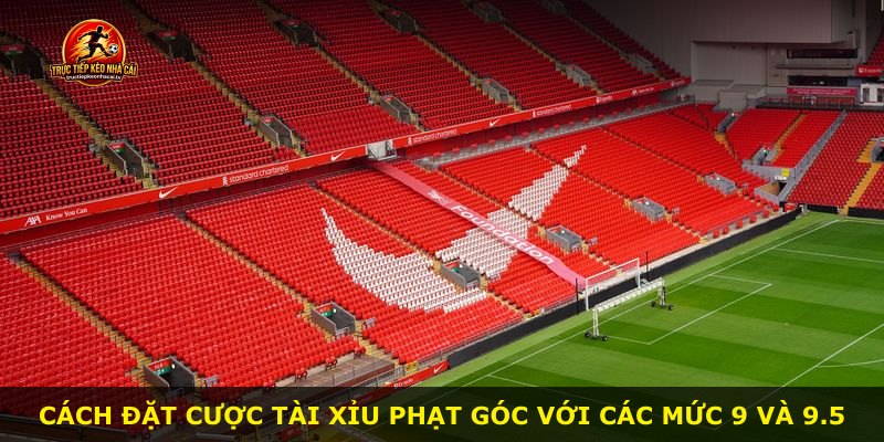 Cách đặt cược tài xỉu phạt góc với các mức 9 và 9.5
