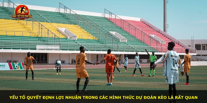 Yếu tố quyết định lợi nhuận trong các hình thức dự đoán kèo là rất quan