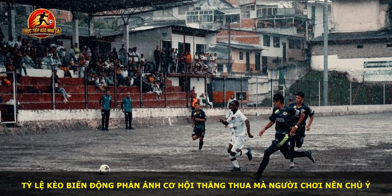 Tỷ lệ kèo biến động phản ánh cơ hội thắng thua mà người chơi nên chú ý