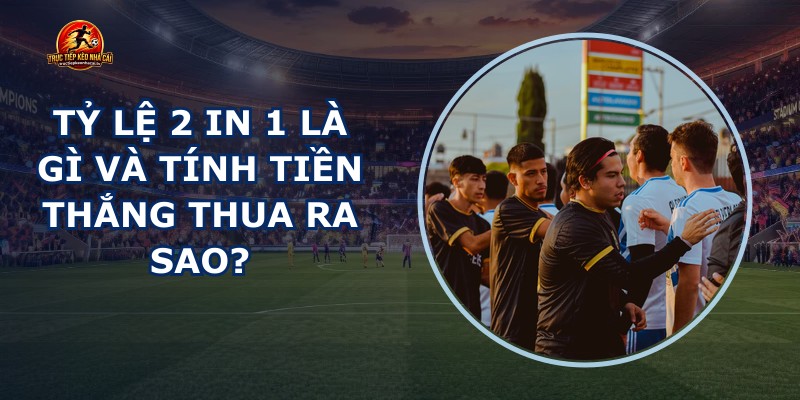 Tỷ Lệ 2 In 1