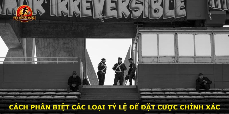 Cách phân biệt các loại tỷ lệ để đặt cược chính xác