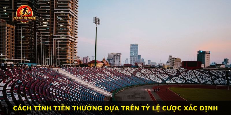 Cách tính tiền thưởng dựa trên tỷ lệ cược xác định