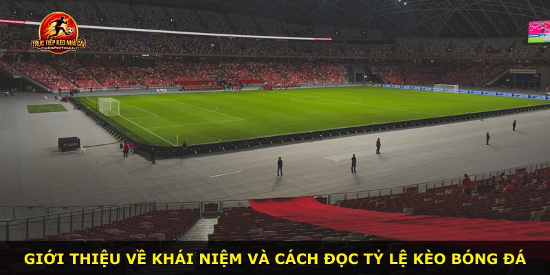 Giới thiệu về khái niệm và cách đọc tỷ lệ kèo bóng đá