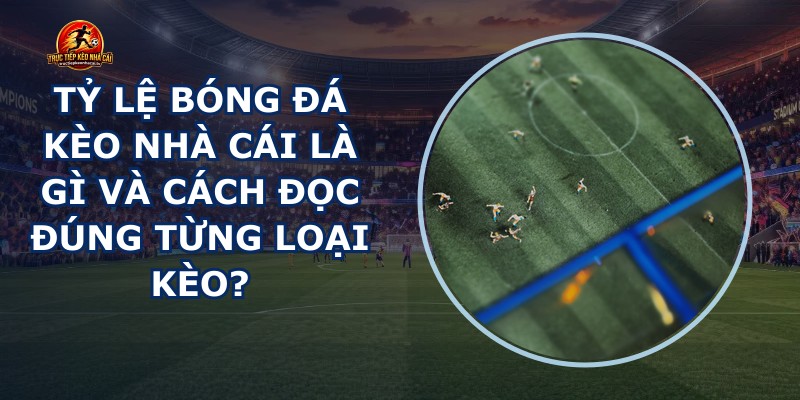 Tỷ Lệ Bóng Đá Kèo Nhà Cái