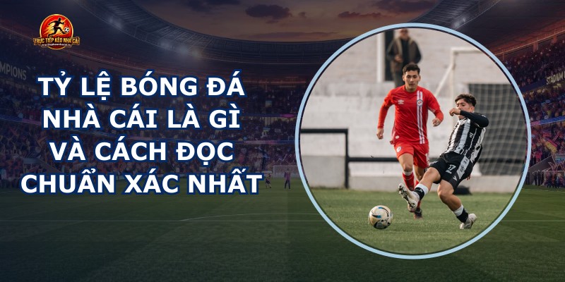 Tỷ Lệ Bóng Đá Nhà Cái